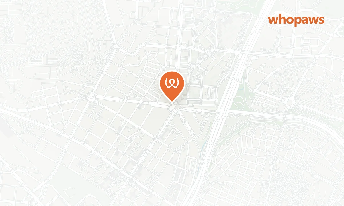 Mapa de la ubicación de Terminal Interurbana Conde de Casal