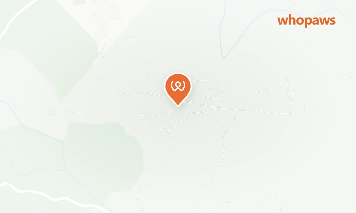 Mapa de la ubicación de Casa del Baile