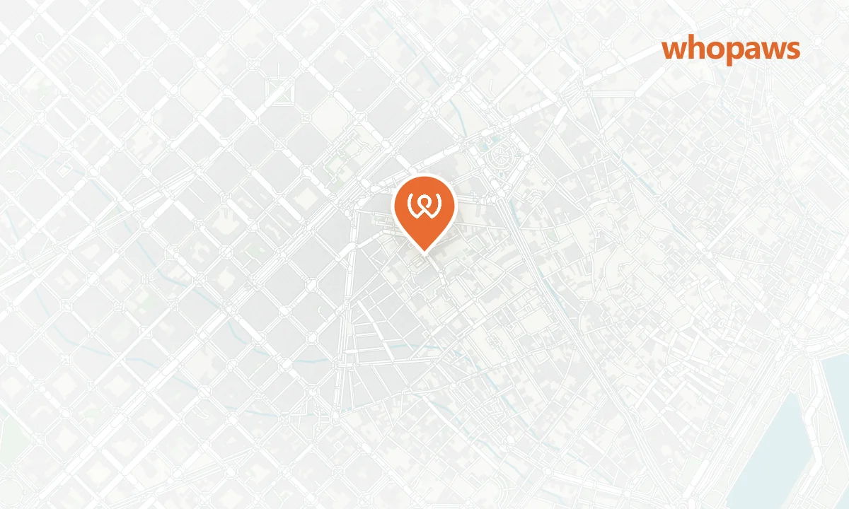 Mapa de la ubicación de Terraza del C3Bar