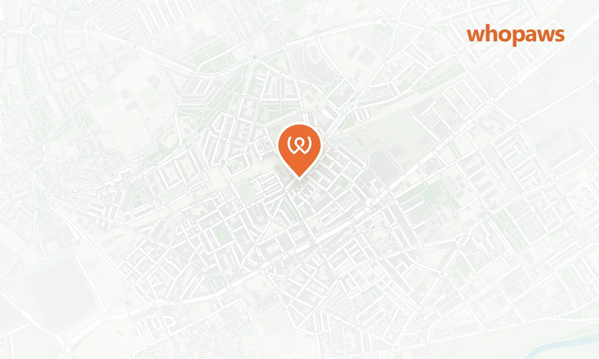 Mapa de la ubicación de Repsol Vía Complutense Alcalá