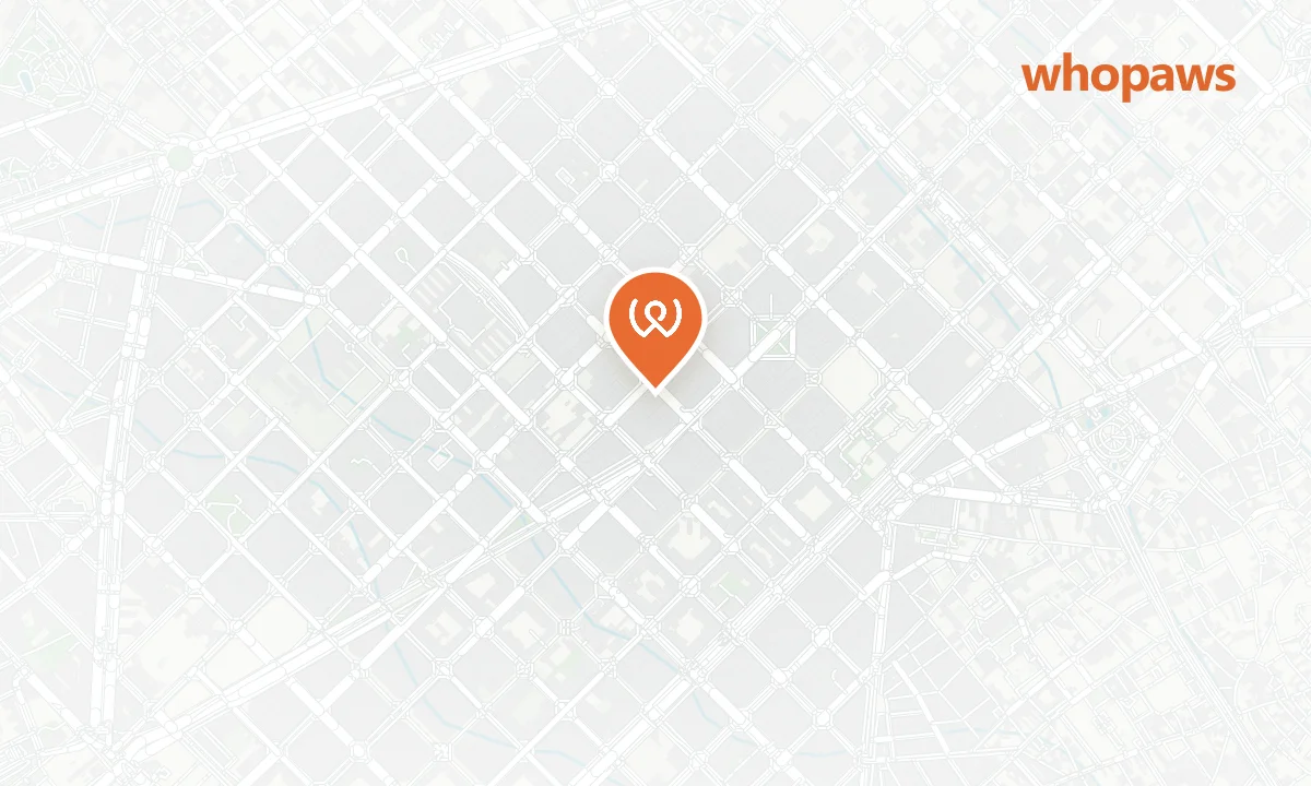 Mapa de la ubicación de Corgi Café Muntaner
