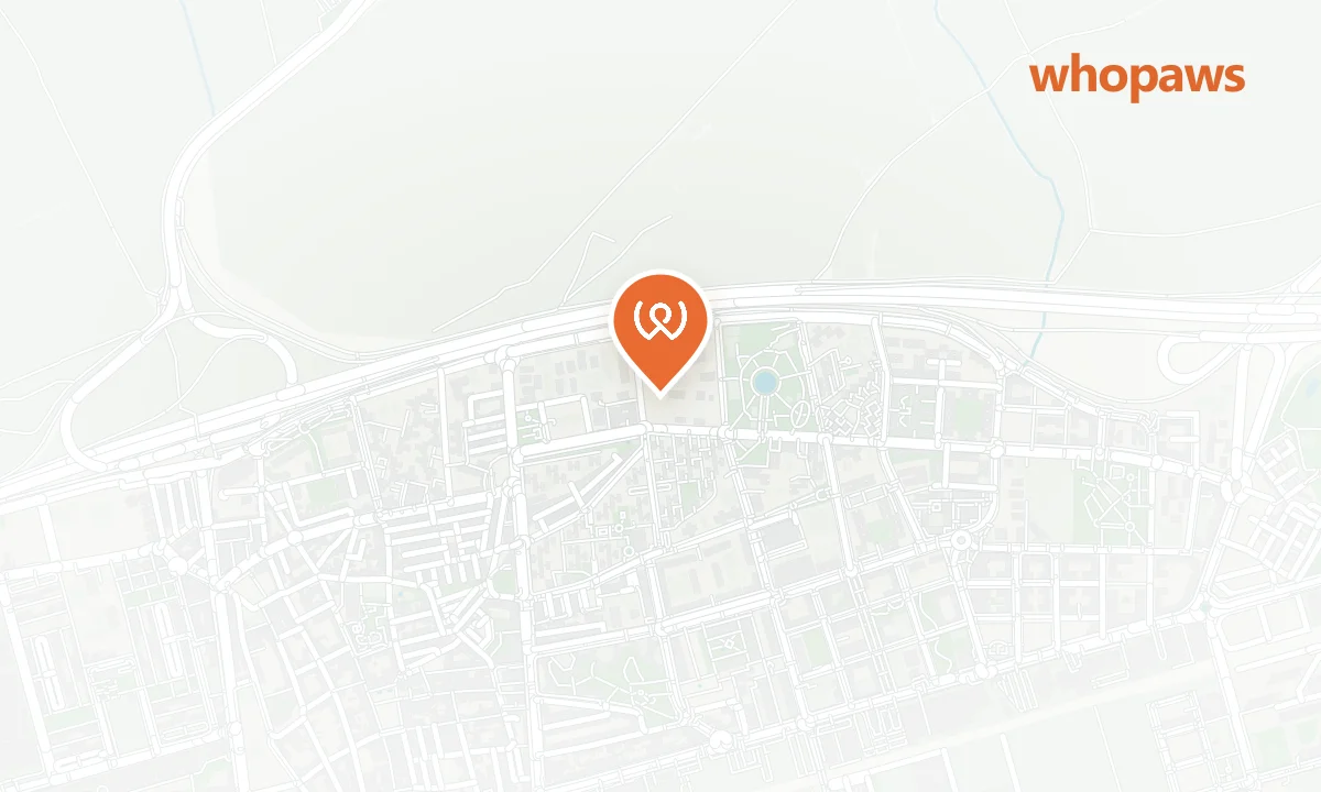 Mapa de la ubicación de BP Torrejón Circunvalación (Pet Wash)