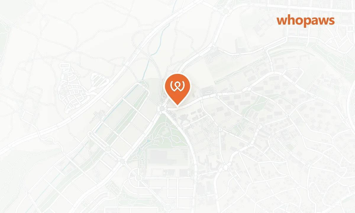 Mapa de la ubicación de Parking Disuasorio Mirasierra - Paco de Lucía
