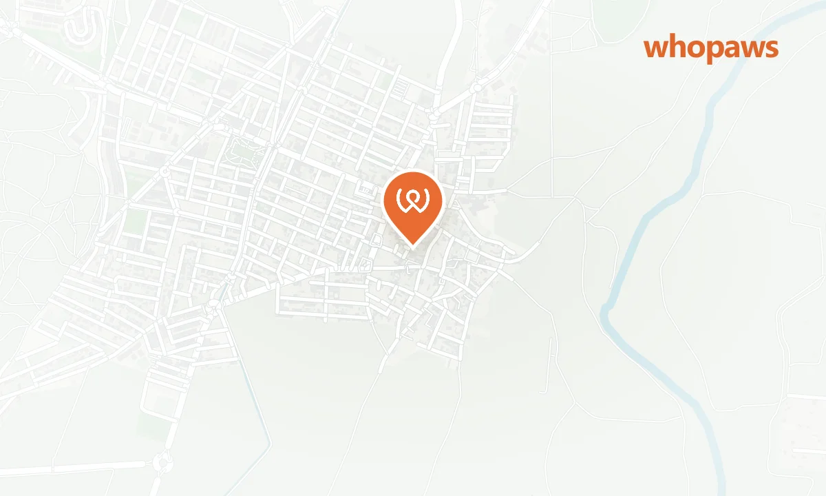 Mapa de la ubicación de Hostal San Martín