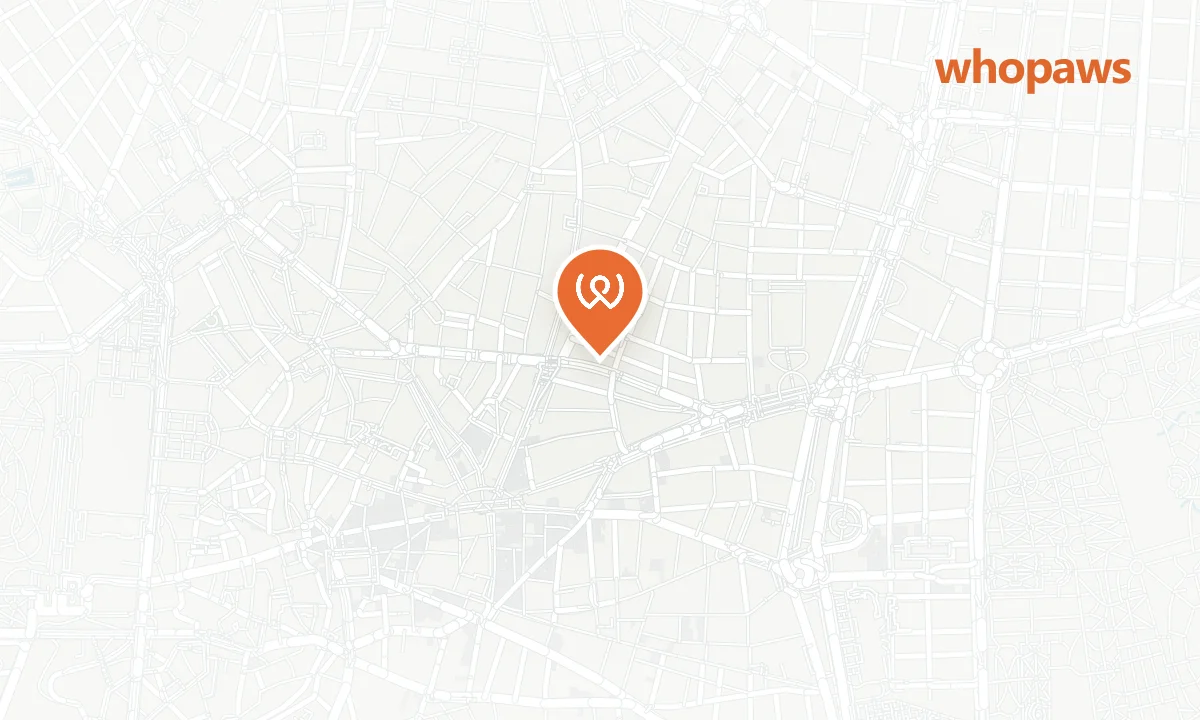Mapa de la ubicación de Brach Madrid (restaurante)