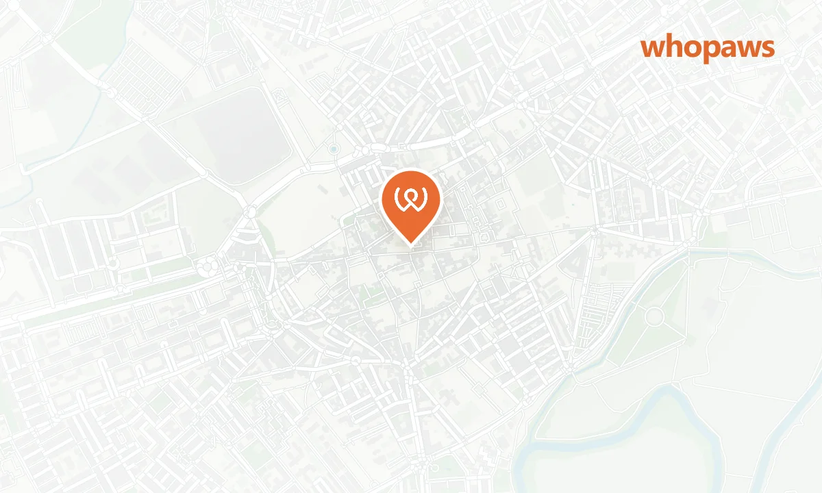 Mapa de la ubicación de SDCC Irlandeses