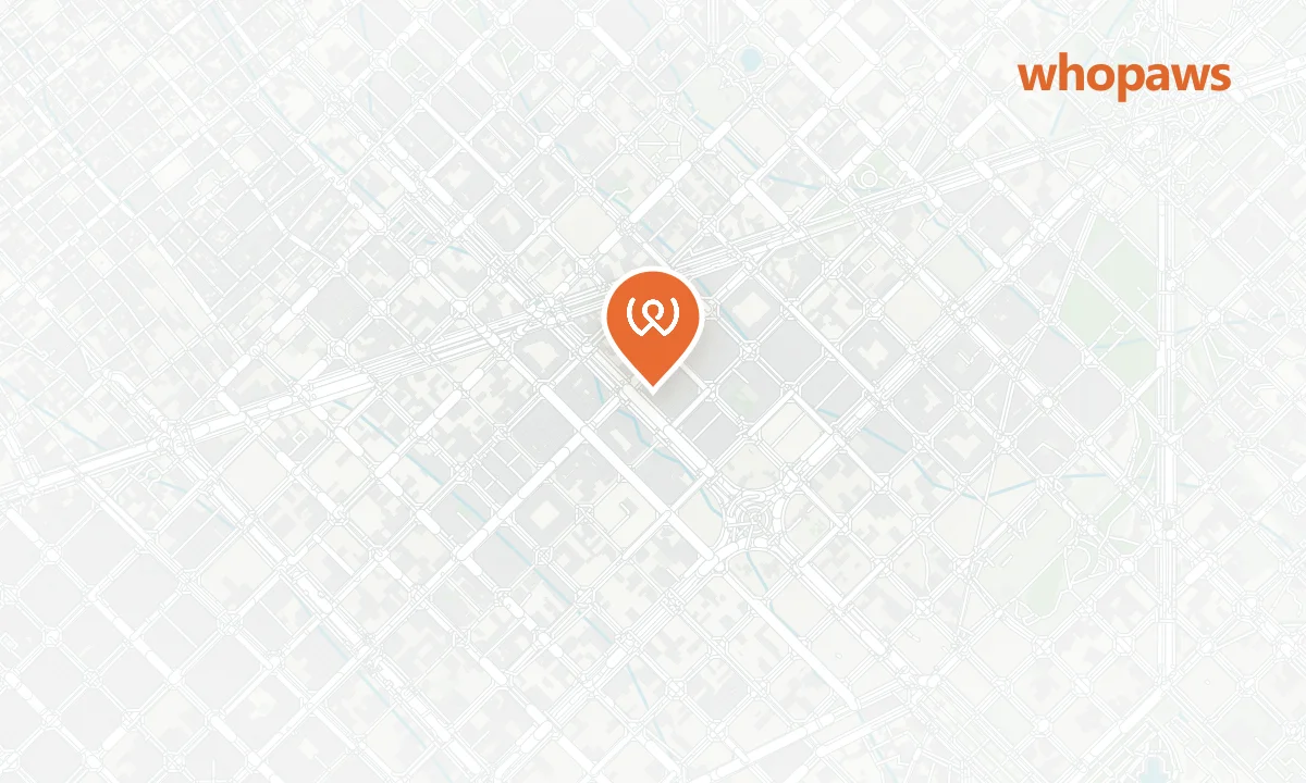 Mapa de la ubicación de Bloome By Sasha | Brunch Sin Gluten Eixample
