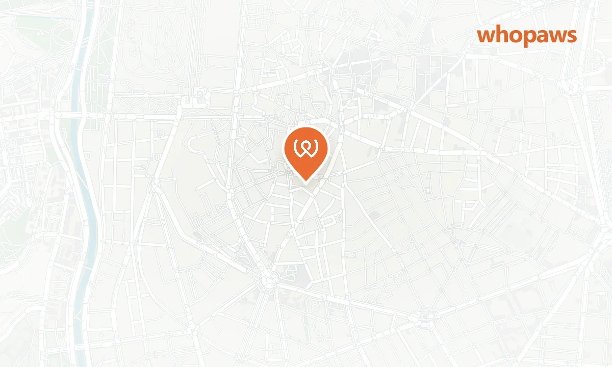 Mapa de la ubicación de Parking La Latina - San Cayetano (EMT Madrid)