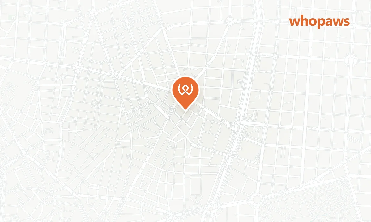 Mapa de la ubicación de Coco House - Madrid