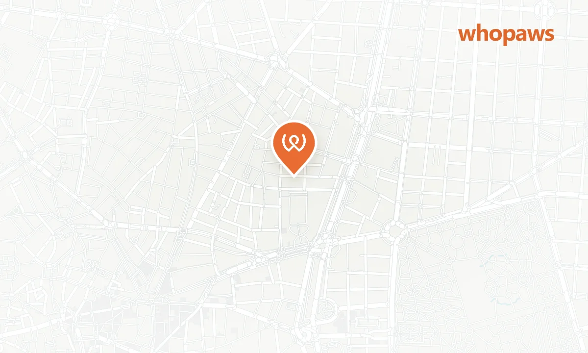 Mapa de la ubicación de Petit Palace Almirante