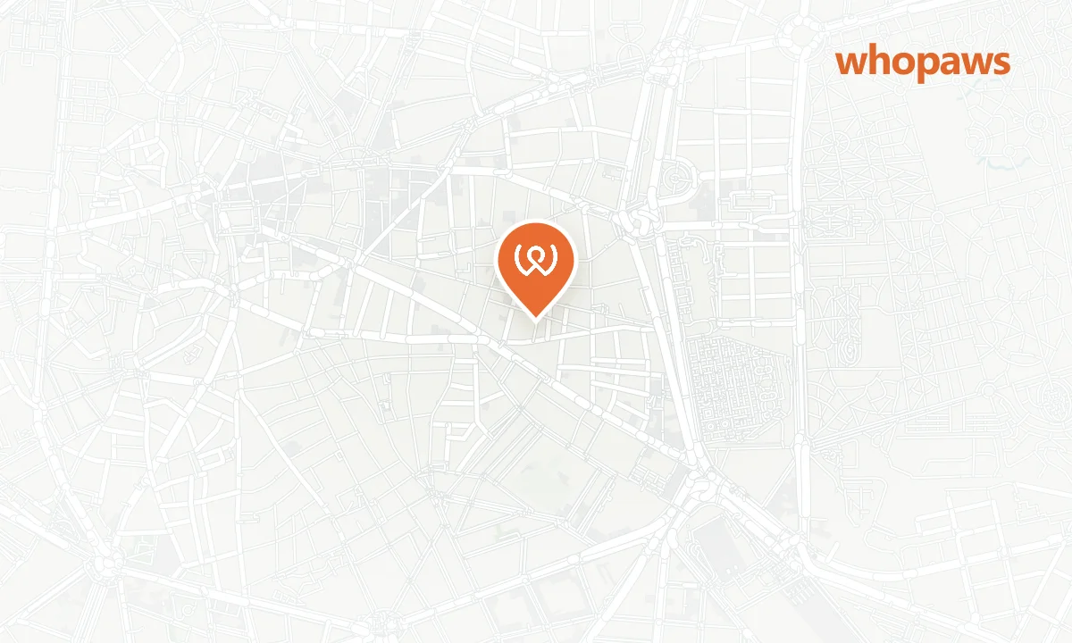Mapa de la ubicación de Catalonia Atocha