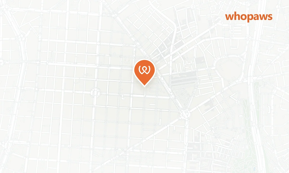 Mapa de la ubicación de El Café de Galería Sara Caso