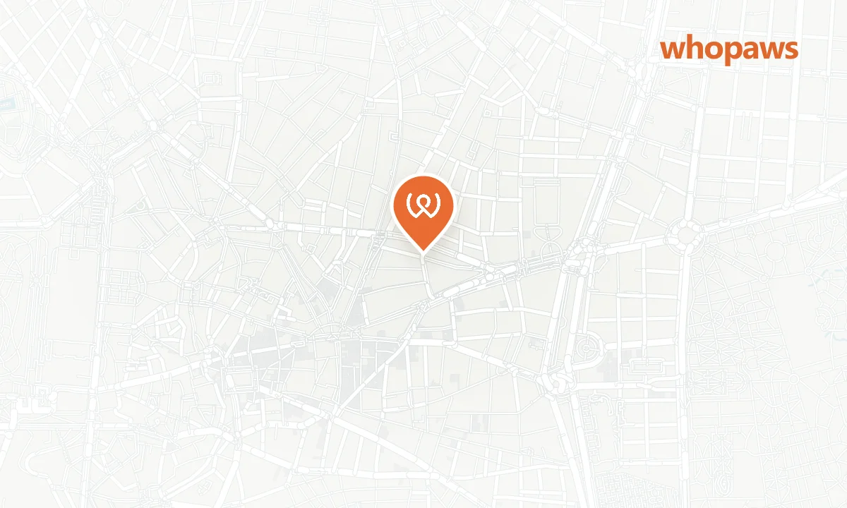Mapa de la ubicación de Catalonia Gran Vía Madrid