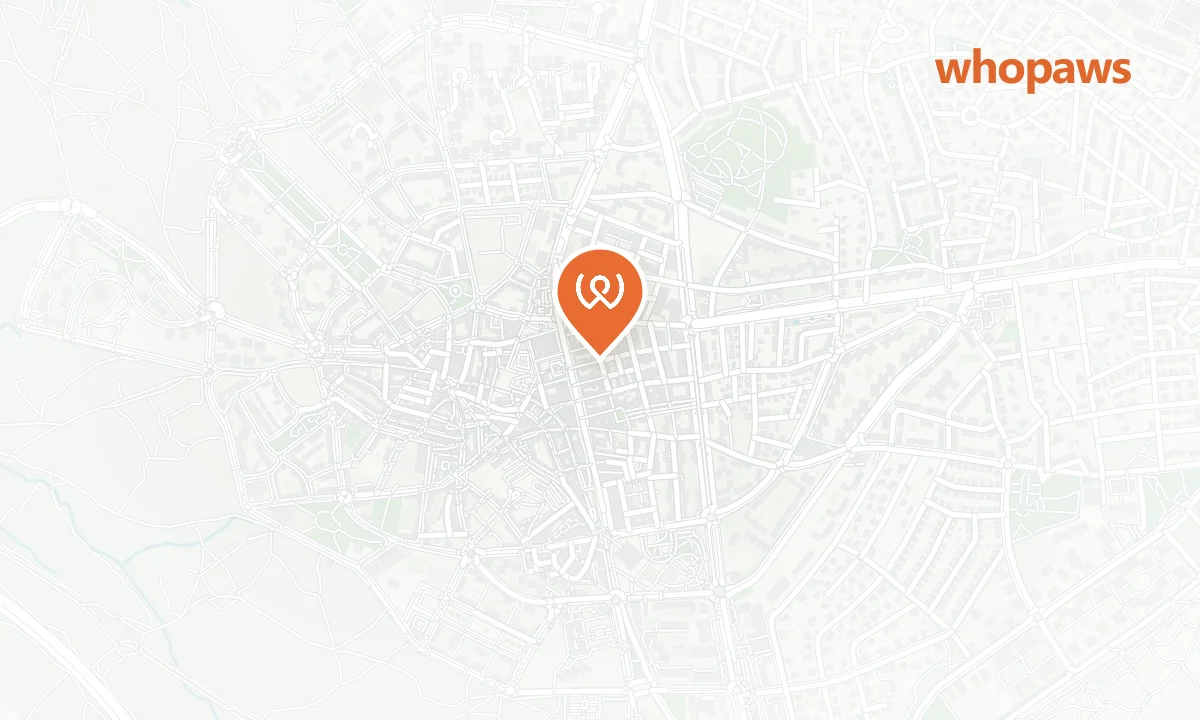 Mapa de la ubicación de John´s Grill House