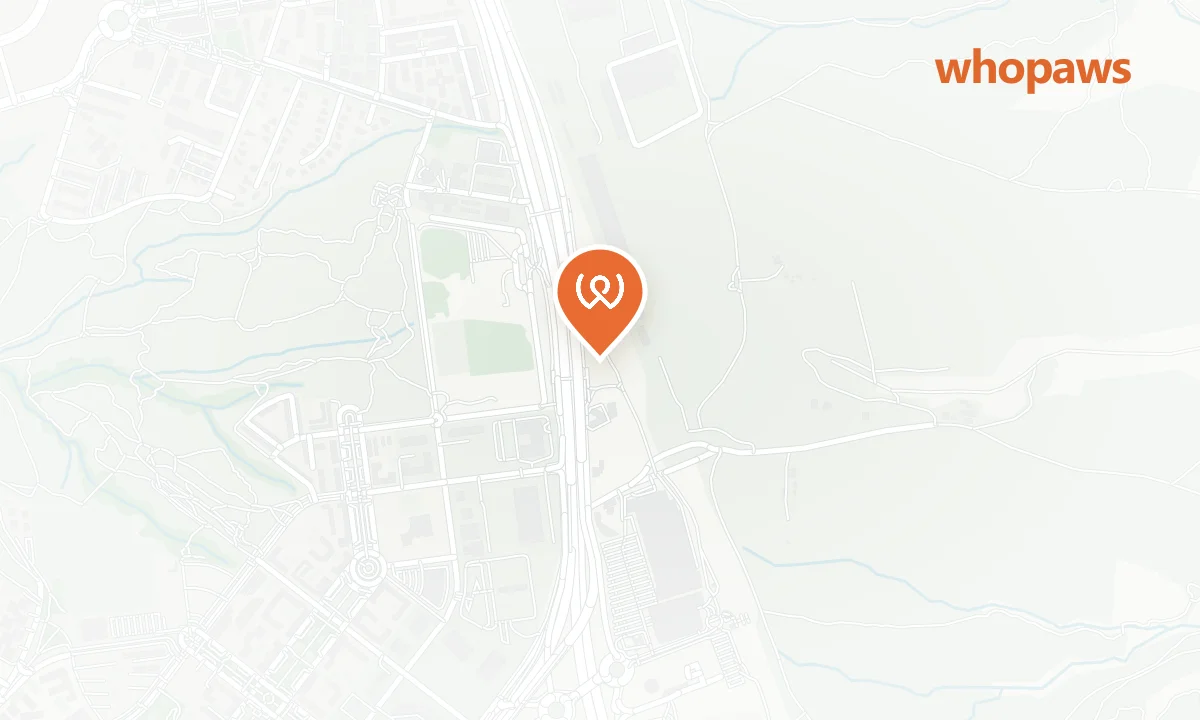 Mapa de la ubicación de BP El Pinar de Las Rozas